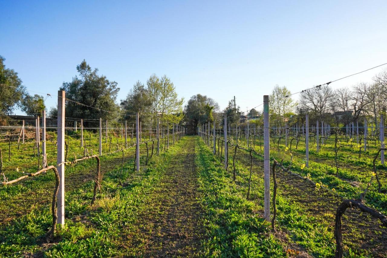 Pensjonat Casa Do Ribeiro Lago  Zewnętrze zdjęcie