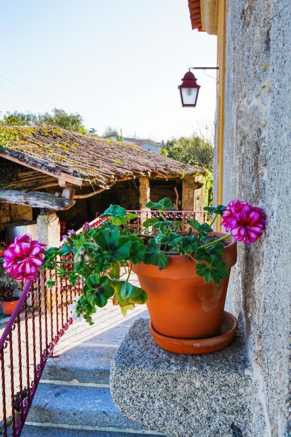 Pensjonat Casa Do Ribeiro Lago  Zewnętrze zdjęcie