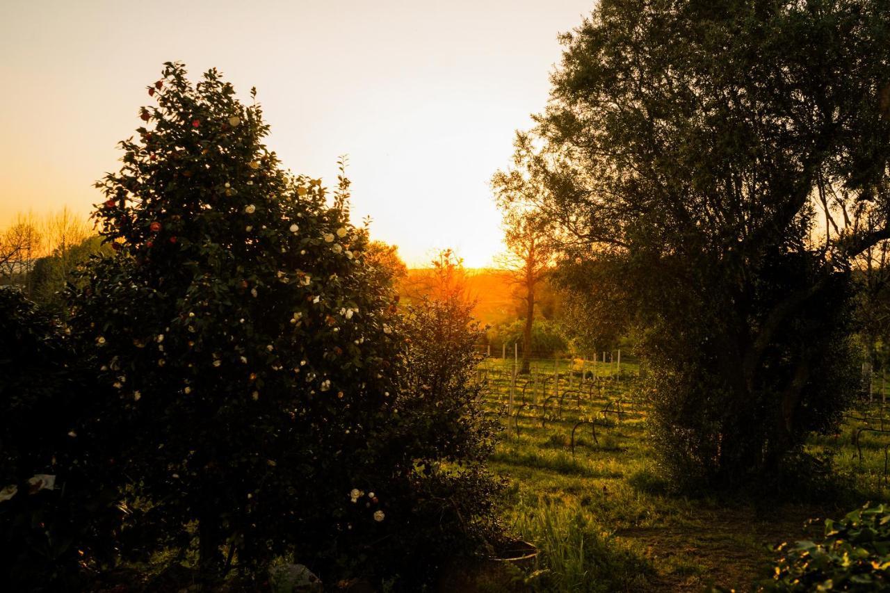 Pensjonat Casa Do Ribeiro Lago  Zewnętrze zdjęcie